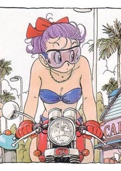 Bulma photo
