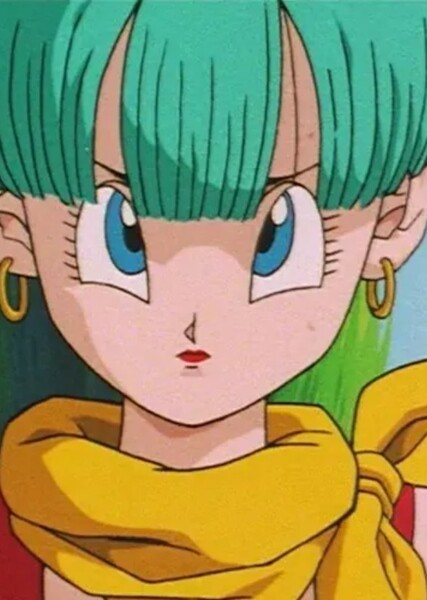 Bulma Briefs