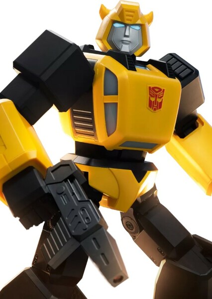 Bumblebee photo