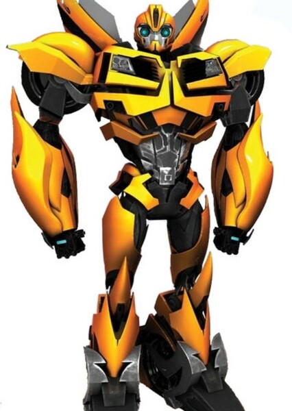 Bumblebee photo