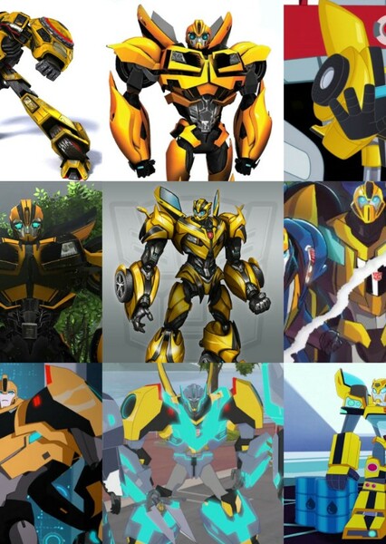 Bumblebee photo