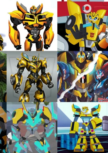 Bumblebee photo