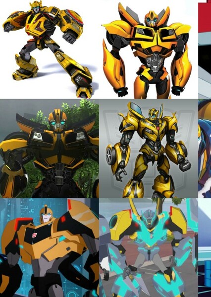 Bumblebee photo