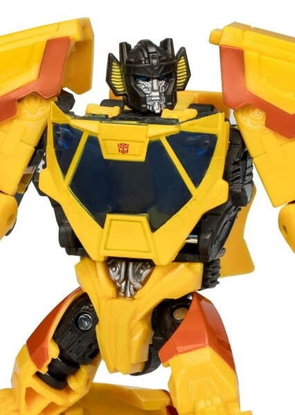 Bumblebee photo