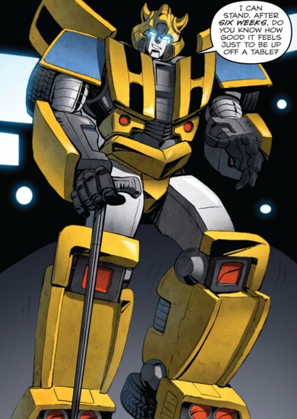 Bumblebee photo