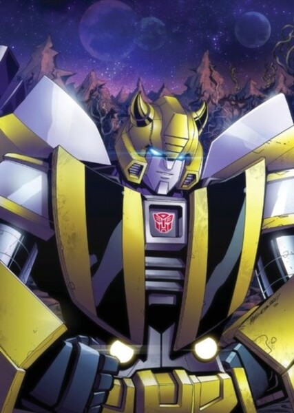 Bumblebee photo