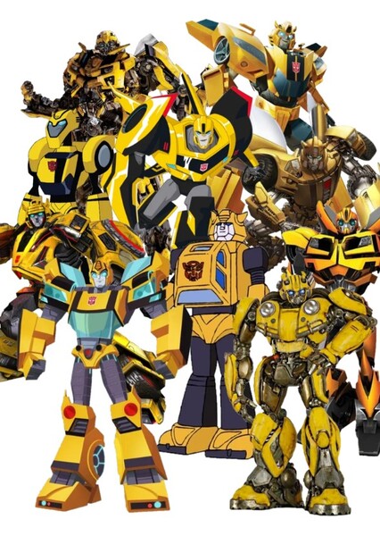 Bumblebee photo