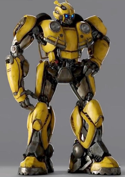 Bumblebee photo