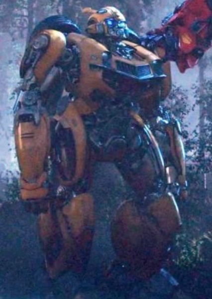 Bumblebee photo