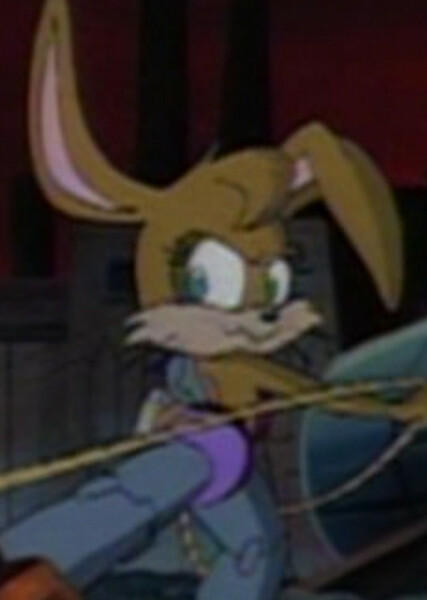 Bunnie Rabbot photo
