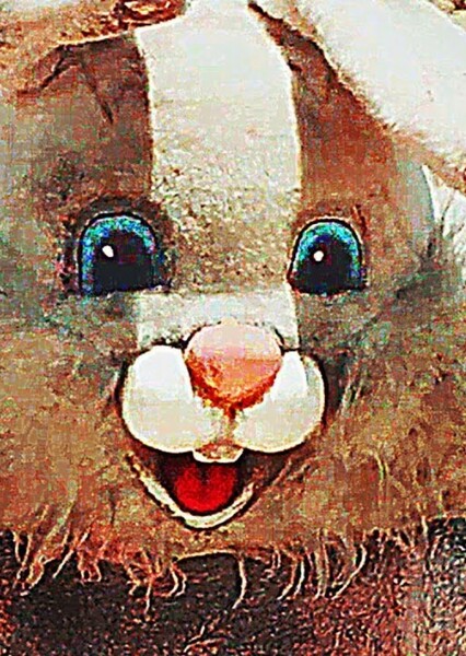 Bunnyman photo