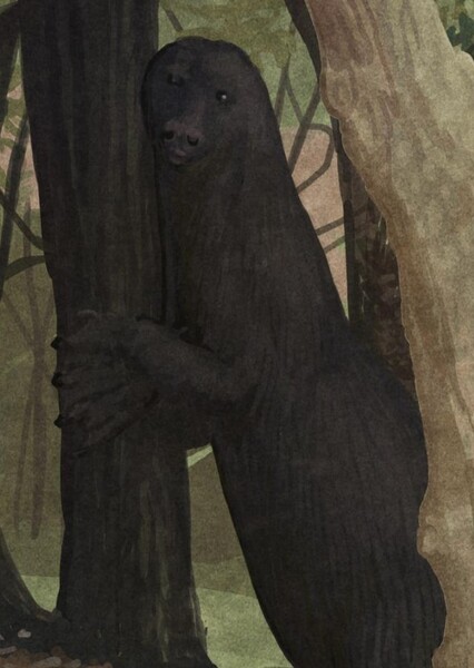 Bunyip photo