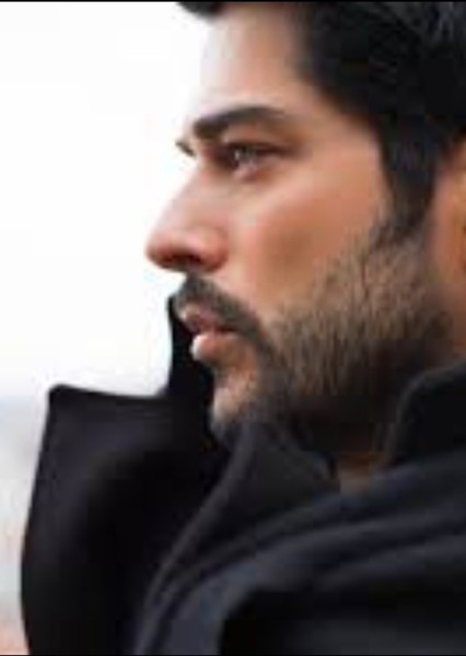 Burak Özçivit photo