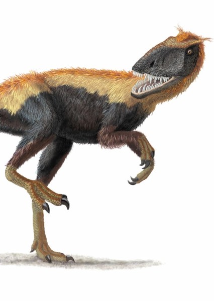 Burrunjor