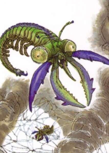 Butcherbug