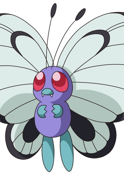 Butterfree photo