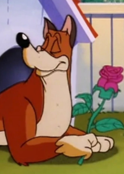Buttons (Animaniacs) photo