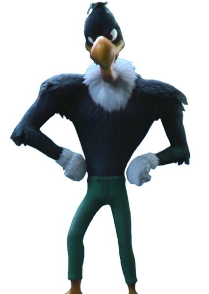 Buzz Buzzard photo