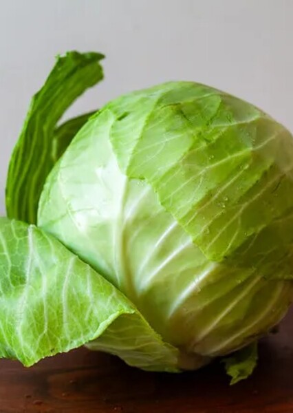 Cabbage