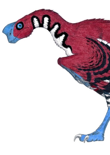 Caenagnathus