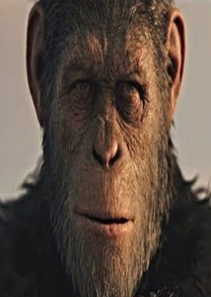 Caesar