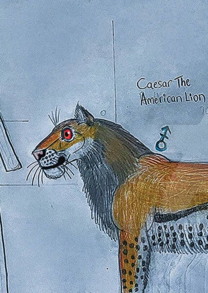 Caesar The American Lion
