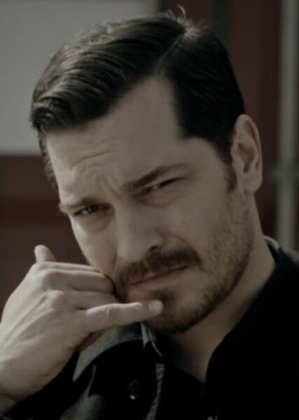 Çağatay Ulusoy photo