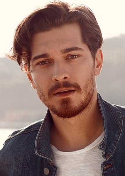 Çağatay Ulusoy photo