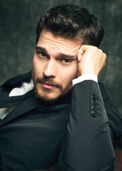 Çağatay Ulusoy photo