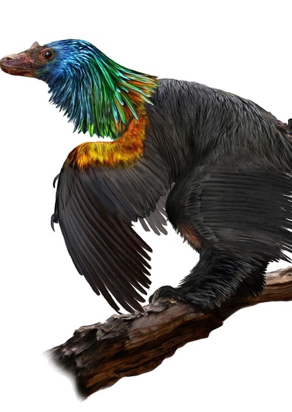 Caihong