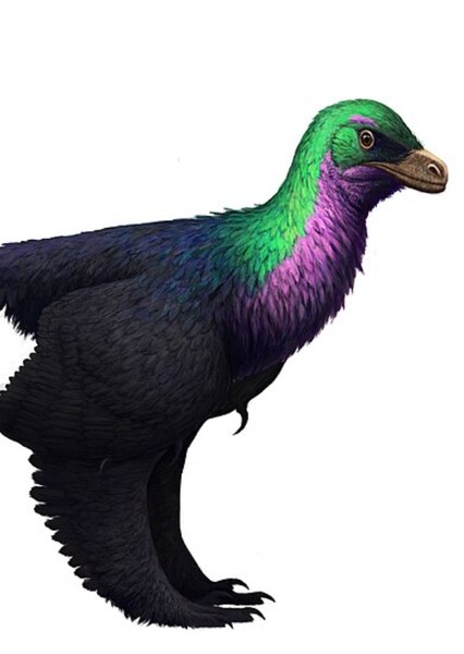 Caihong