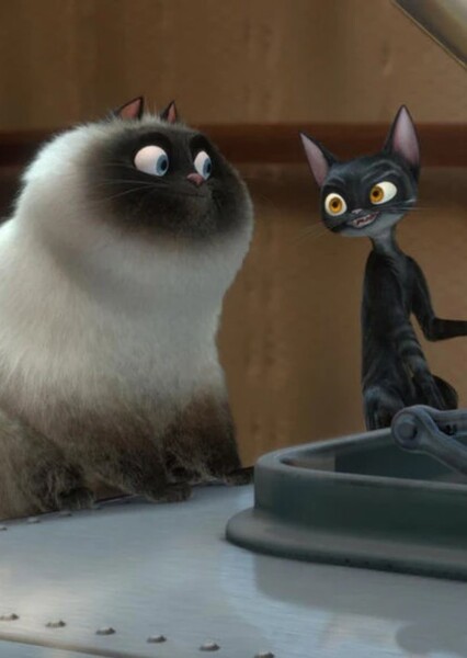 Calico's Cats
