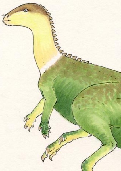 Callovosaurus