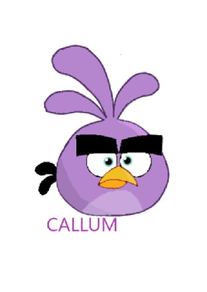 Callum (Angry Birds) photo