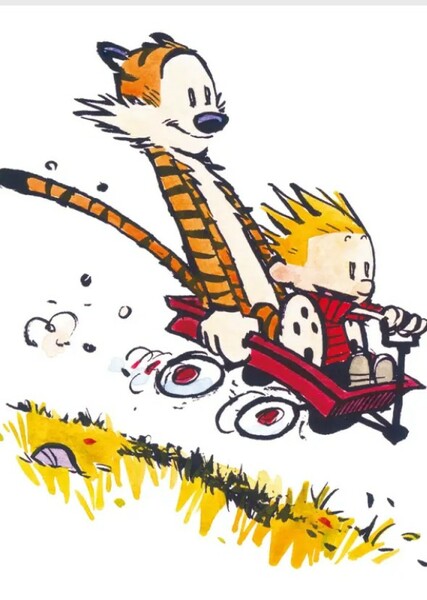 Calvin and Hobbes photo
