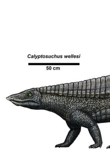 Calyptosuchus