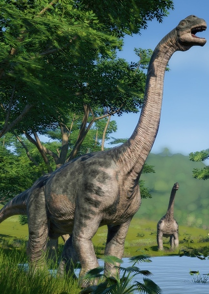 Camarasaurus photo