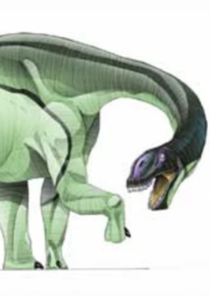 Camarasaurus photo