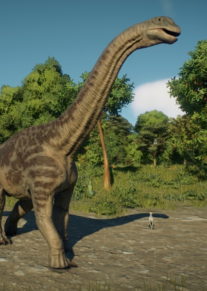 Camarasaurus photo