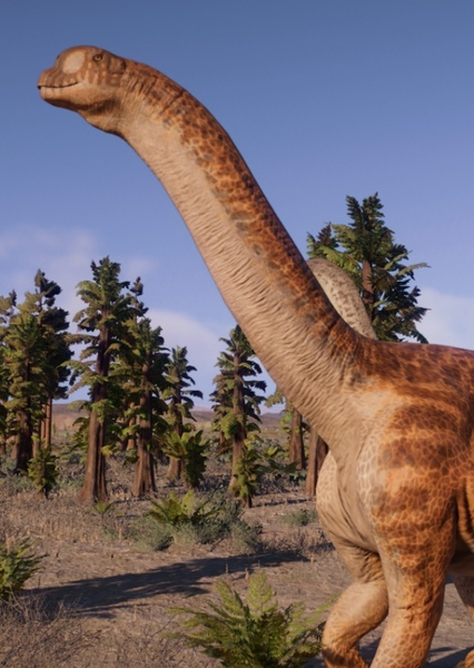 Camarasaurus photo