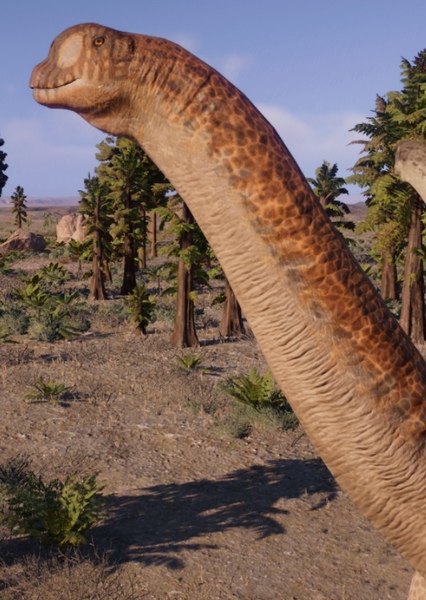 Camarasaurus photo
