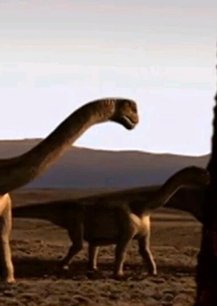 Camarasaurus (When Dinosaurs Roamed America)