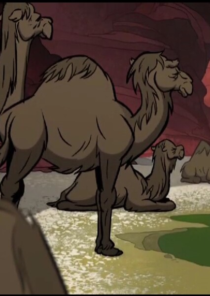 Camel photo