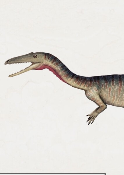 Camposaurus