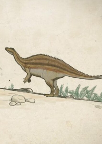 Camptosaurus photo