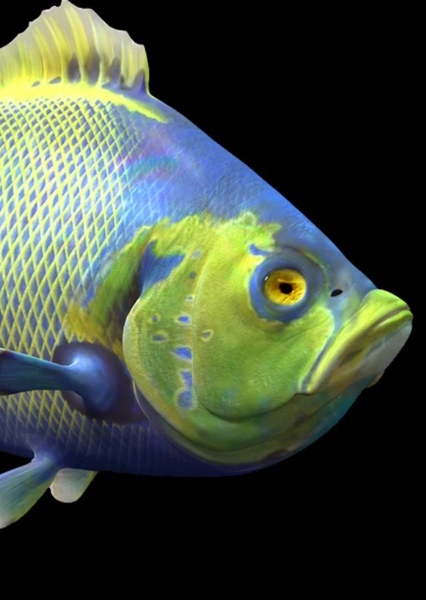 Caproberyx