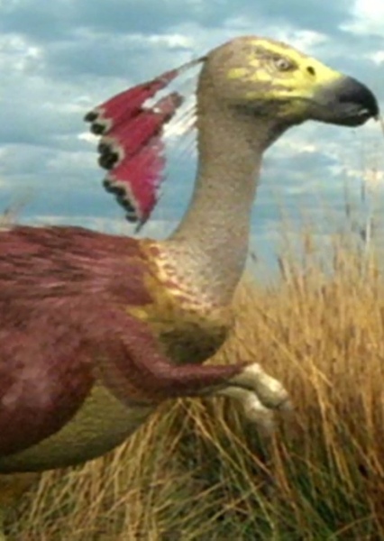 Carakiller