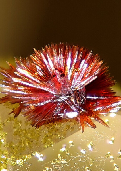 Carminite