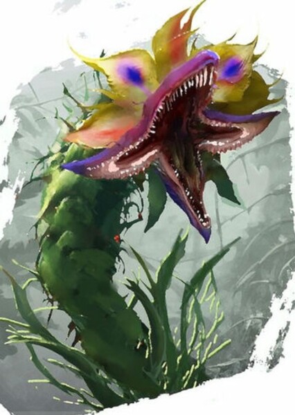 Carnivorous plant (skull island) photo