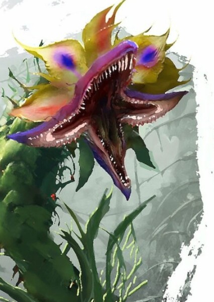 Carnivorous plant (skull island) photo